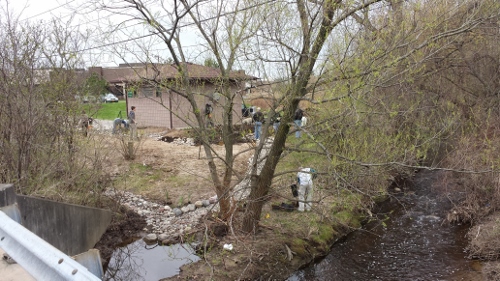 Winton Rain Garden (15)